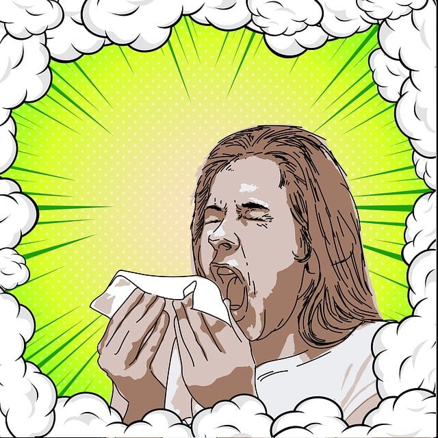 Sneeze Sneeze