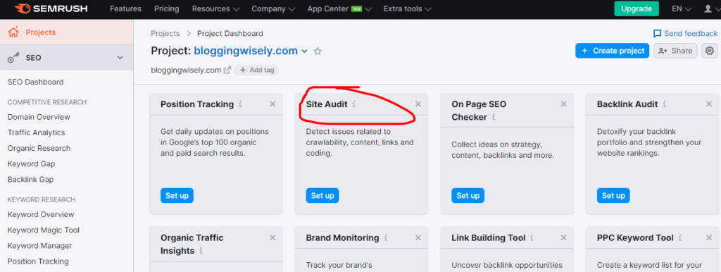 site audit